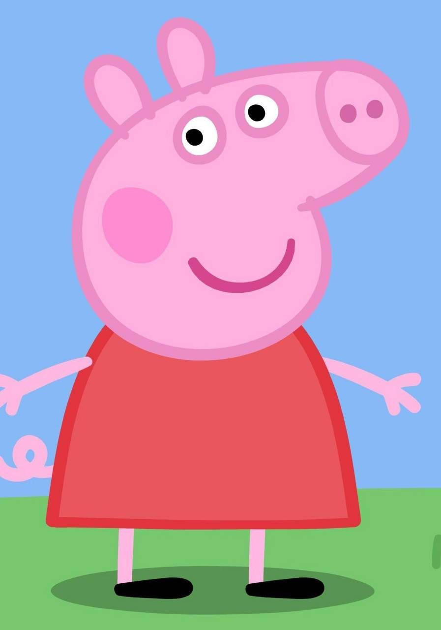 Peppa Pig | کارتون پپا پیگ